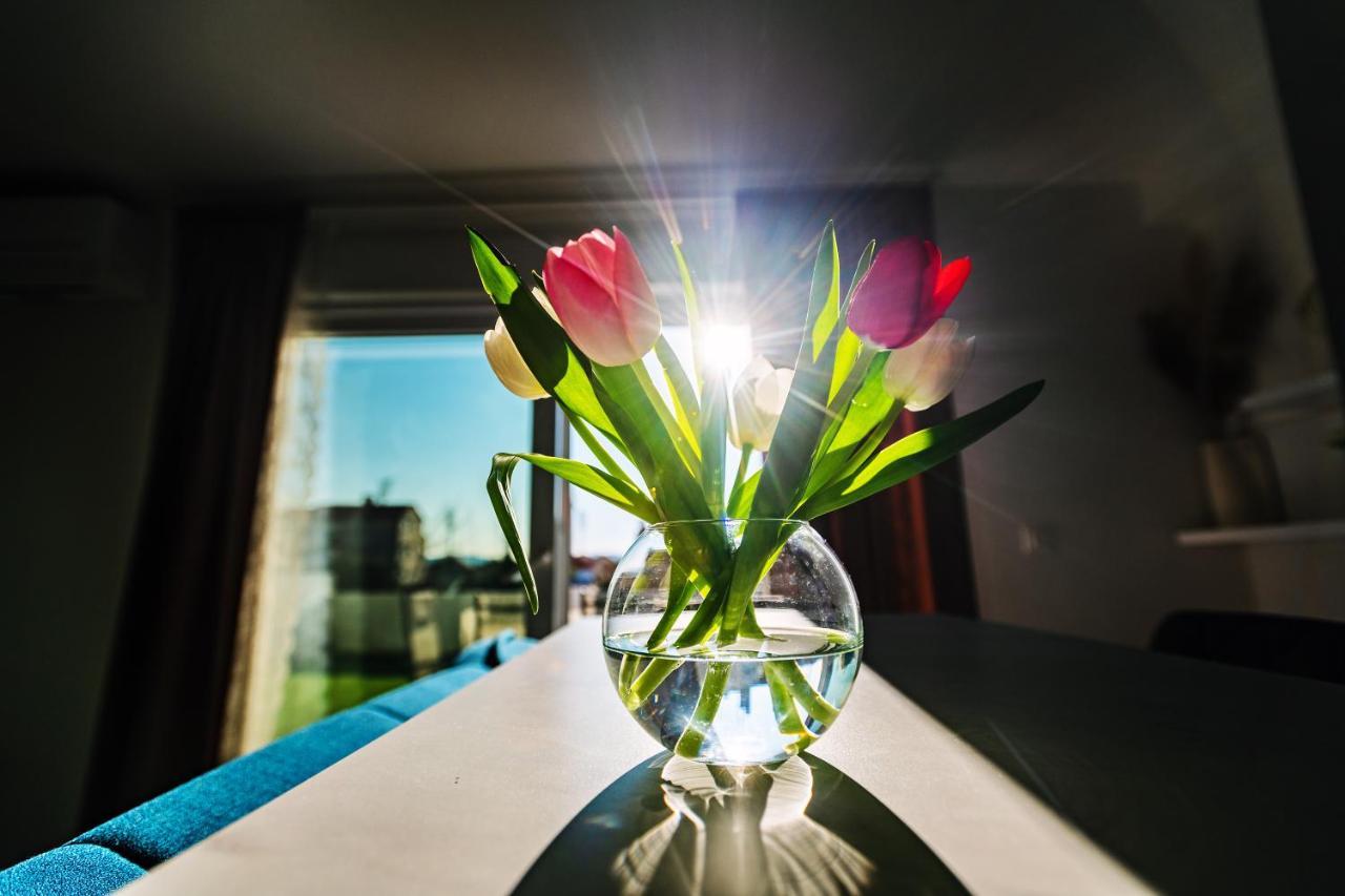 Holiday Apartment Zadar - With Summer Balcony And Parking Luaran gambar